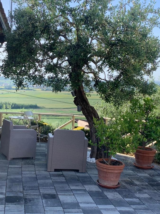 Locazione Turistica Casa Olivo Fucecchio Exterior foto