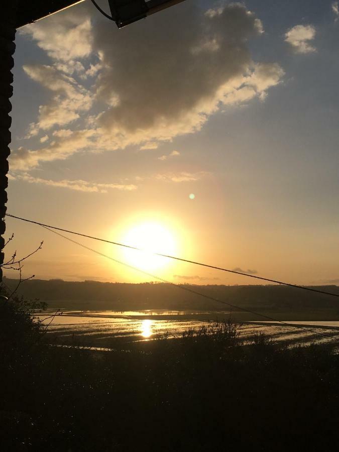 Locazione Turistica Casa Olivo Fucecchio Exterior foto