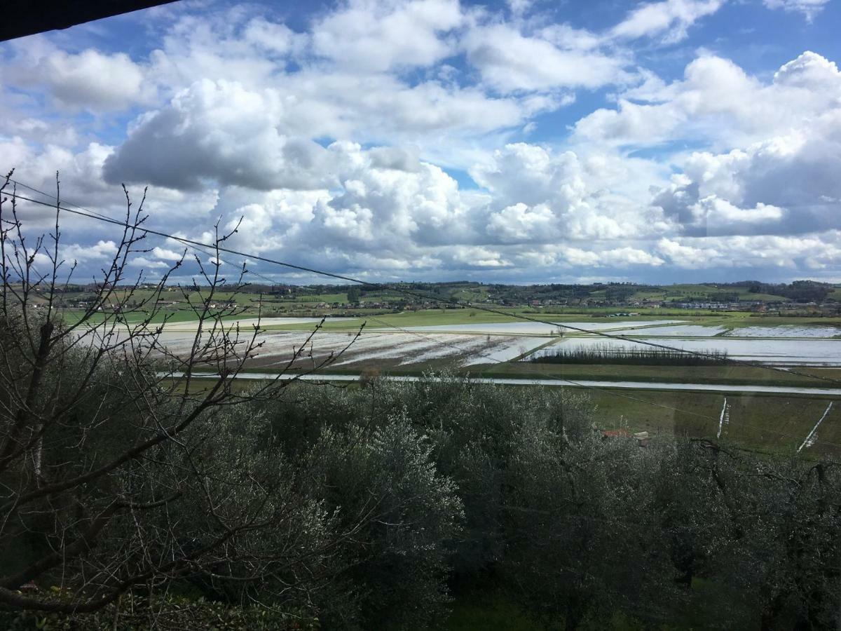 Locazione Turistica Casa Olivo Fucecchio Exterior foto